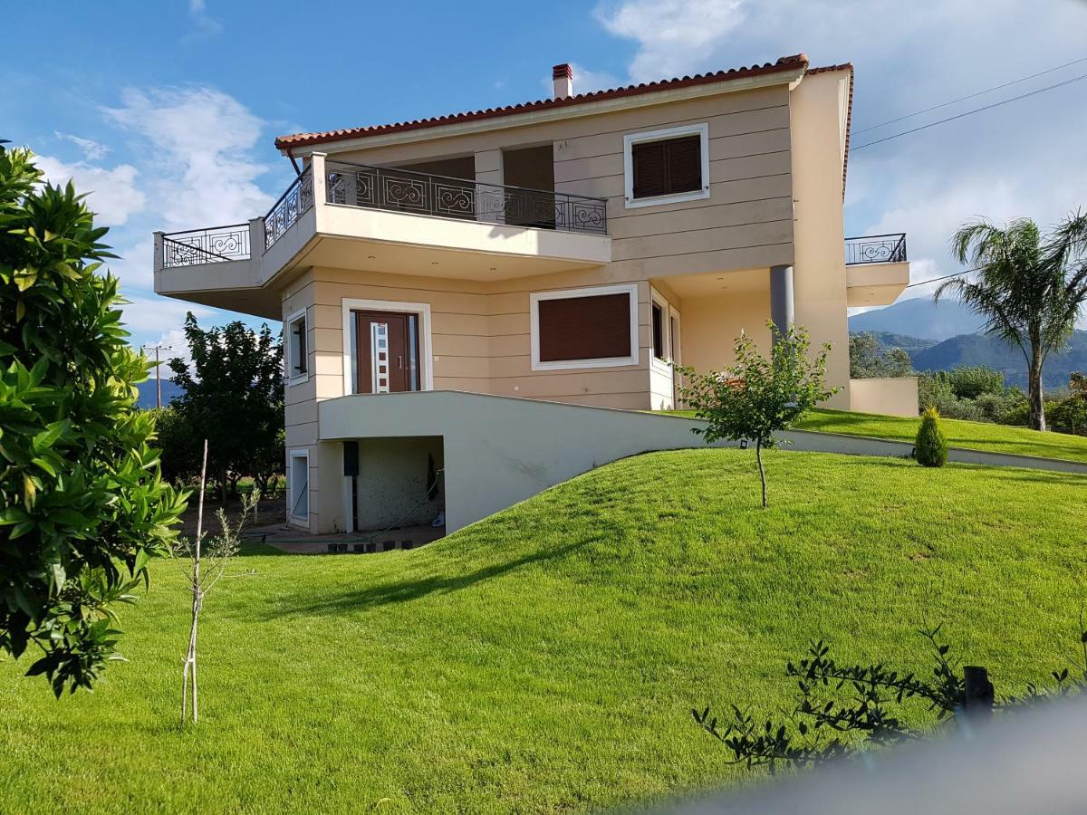 Dimitris Villa Éjo Kültér fotó