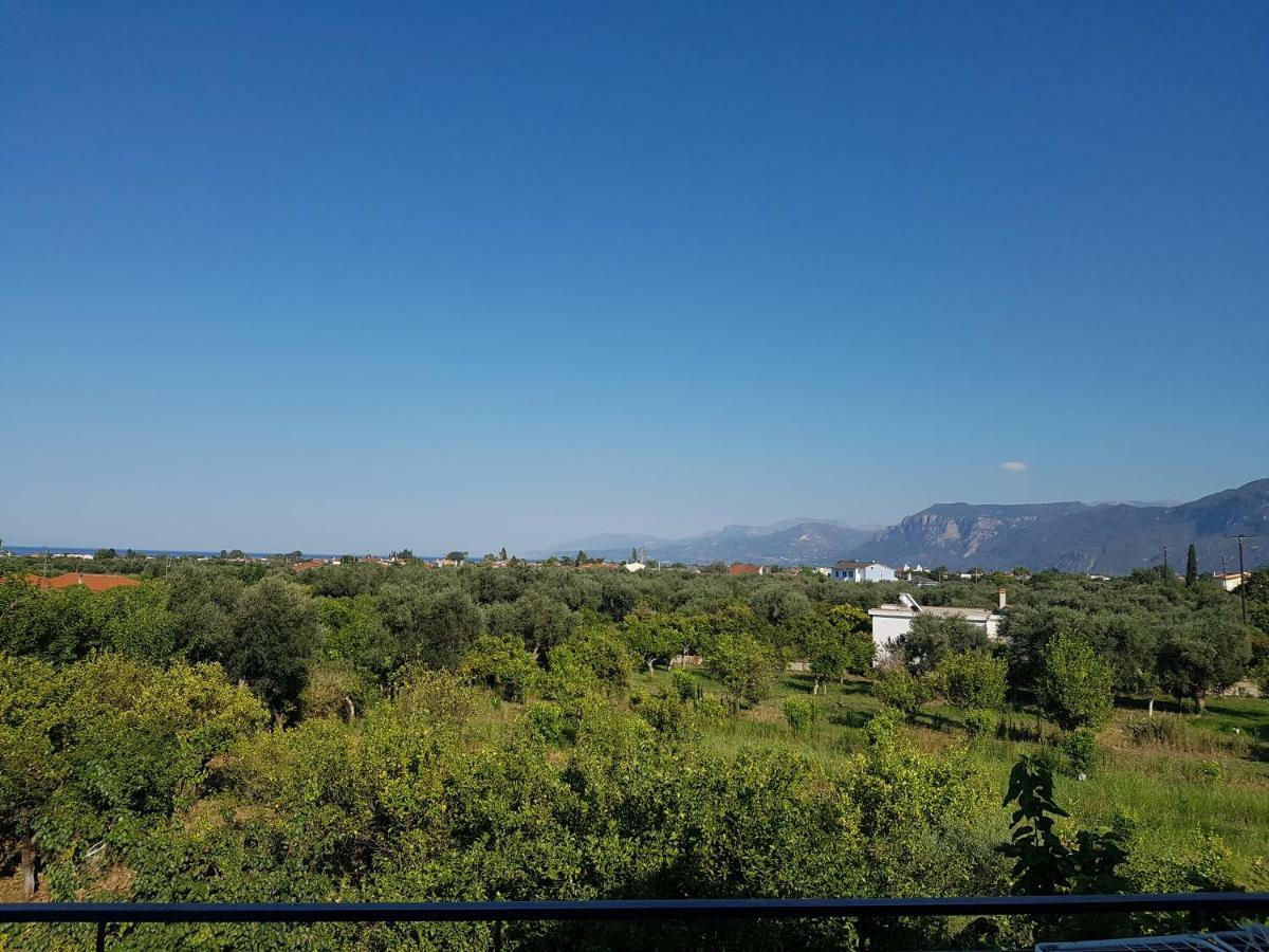 Dimitris Villa Éjo Kültér fotó