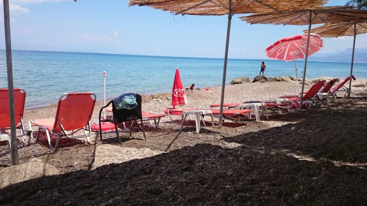 Dimitris Villa Éjo Kültér fotó